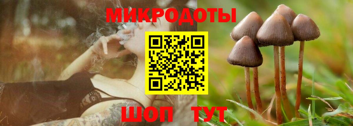 Бор  Галлюциногенные грибы мицелий  Псилоцибиновые грибы мицелий  Вход с VPN 